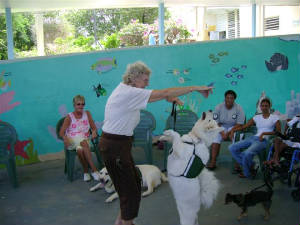 DSC00063.JPG