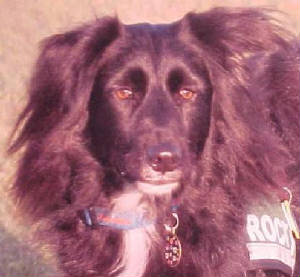 ROCKY-BLISS.jpg