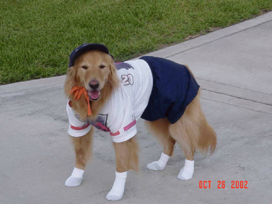 Sammy-nascar.jpg