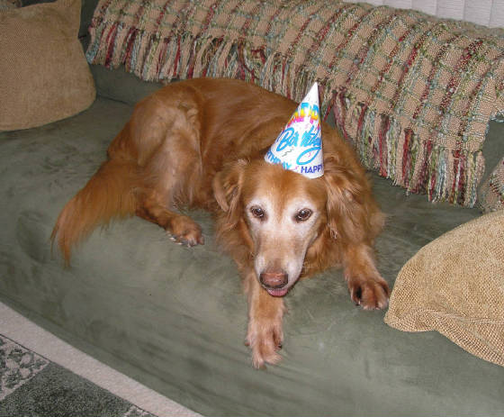 Sams12th.JPG
