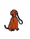 DOGFORCALENDAR.jpg