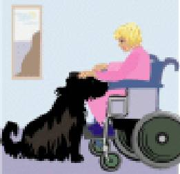 LADYWHEELCHAIR-CALENDAR.jpg