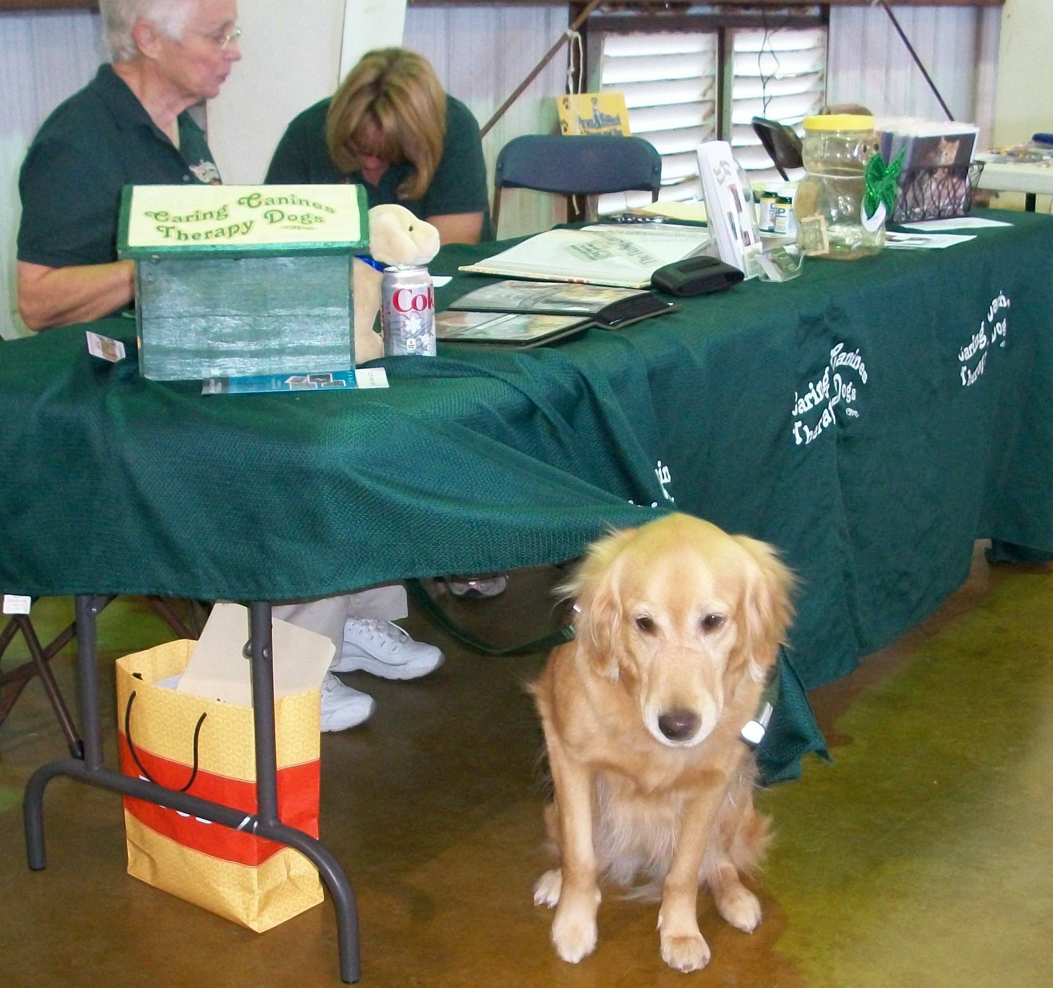 dogshow61011.JPG