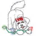 xmasdog4.jpg